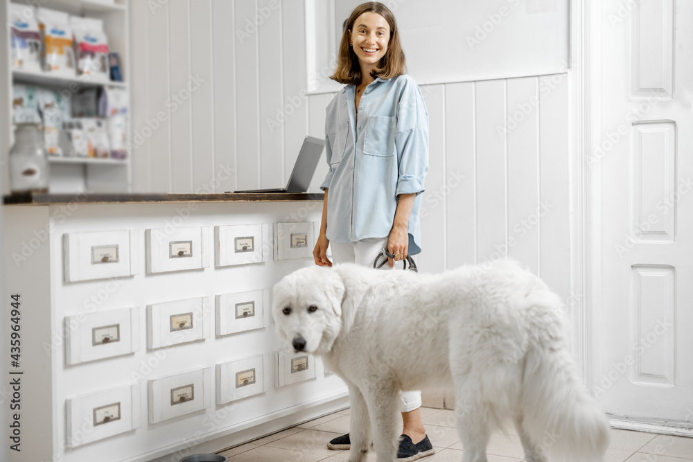 A portrait of happy woman with big white dog waiting for the veterinarian on reception in veterinary clinic. Pet care and treatment A portrait of happy woman with big white dog waiting for the veterinarian on reception in veterinary clinic. Pet care and treatment