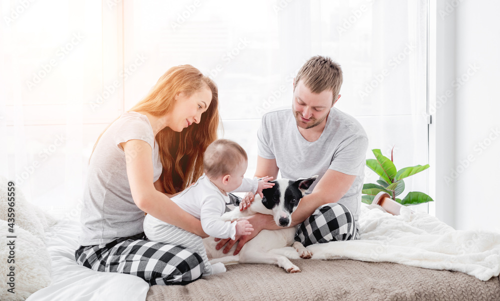 Family with dog in the bed Family with dog in the bed
