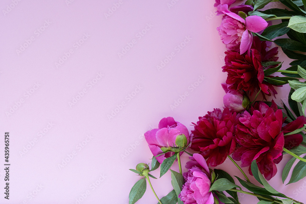 Fototapeta premium Bouquet of blooming red and rose peonies on pink background. Place for text. View from above, close-up