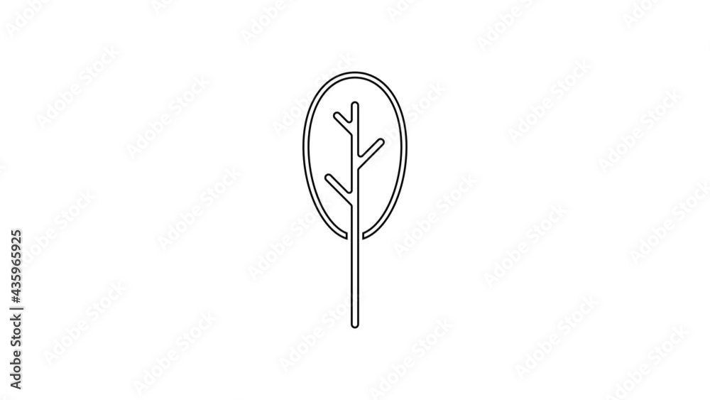 Black line Spinach icon isolated on white background. 4K Video motion graphic animation Black line Spinach icon isolated on white background. 4K Video motion graphic animation