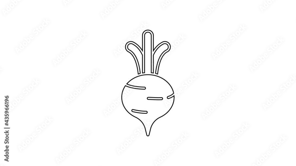 Black line Fresh beet with leaf icon isolated on white background. Natural Root. Vegetable Ingredient for food. 4K Video motion graphic animation Black line Fresh beet with leaf icon isolated on white background. Natural Root. Vegetable Ingredient for food. 4K Video motion graphic animation