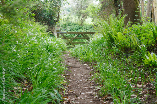 Nature trail  Whiteford  Gower Peninsula   Wales  UK