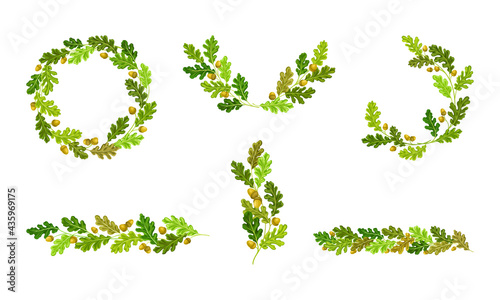 Oak Branches with Green Leaves and Acorns Arranged in Wreath and Semi Circle Vector Set
