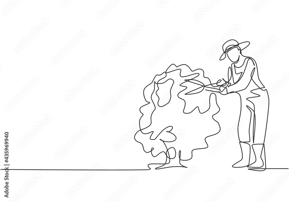 Single one line drawing of young male farmer cut the leaves on the tree using plant scissors. Farming challenge minimalist concept. Modern continuous line draw design graphic vector illustration. Single one line drawing of young male farmer cut the leaves on the tree using plant scissors. Farming challenge minimalist concept. Modern continuous line draw design graphic vector illustration.