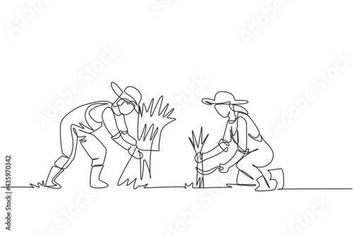Single one line drawing of couple farmer was harvesting rice and there was also rice that had been tied up. Farming challenge minimal concept. Continuous line draw design graphic vector illustration.