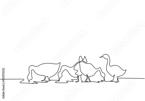 Single one line drawing of the geese are being fed to be healthy and produce the best eggs and meat. Farming challenge minimal concept. Modern continuous line draw design graphic vector illustration.