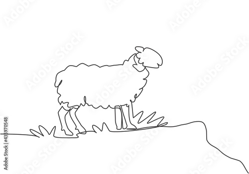 Single continuous line drawing of the sheep were standing on the edge of the meadow looking for food. Successful farming minimalism concept. Dynamic one line draw graphic design vector illustration.