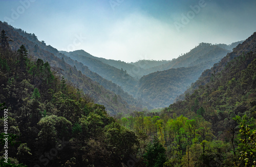 mountain valley covered with dense forest and blue sky at morning from flat angle