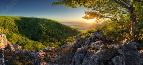 Panorama of spring with sun and tree, Slovakia