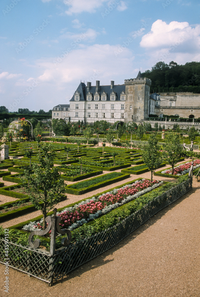 Jardins, Potager, Chateau de Vilandry, 37, Indre et Loire
