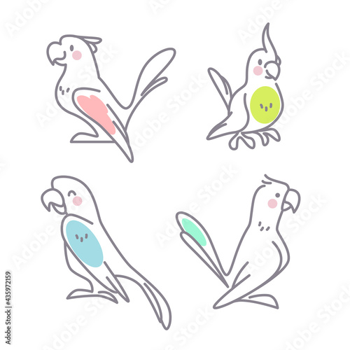 Collection of cute funny exotic macaw and ara parrots characters isolated on white background. Vector flat outline hand drawn illustration. For kids illustrations, nursery decor, cards, banners.