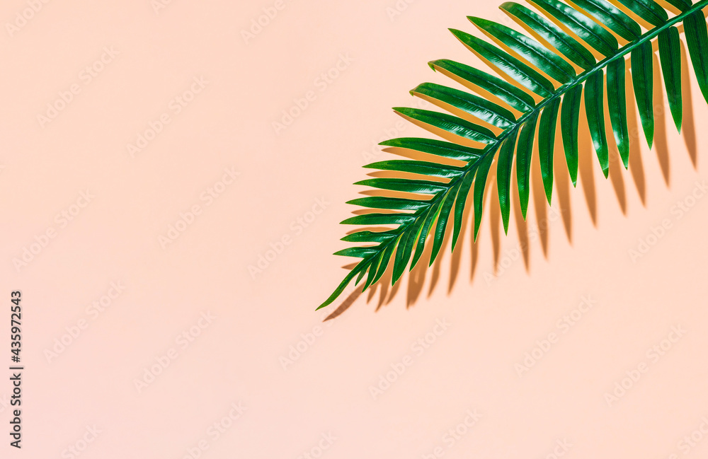 Fototapeta premium Green tropical palm leaf aganist pastel beige background. Minimal summer concept. Creative flat lay.