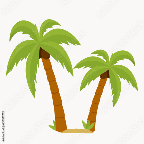Palm trees isolated on white background. Coconut tree vector illustration for icon or advertising layout