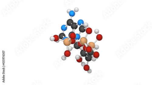 Adenosine triphosphate molecular structure, ATP is intracellular energy transfer. C10H16N5O13P3. 3D render. Seamless loop. Chemical structure model: Ball and Stick. White background