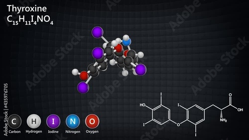 Thyroxine (T4) is the major hormone derived from the thyroid gland. Formula: C15H11I4NO4. 3D render. Seamless loop. Chemical structure model: Ball and Stick.