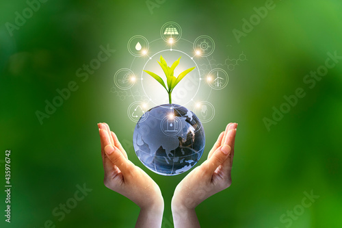 3D illustration Renewable energy concept Earth Day or environmental protection Protect the forests that grow on the ground and help save the planet.