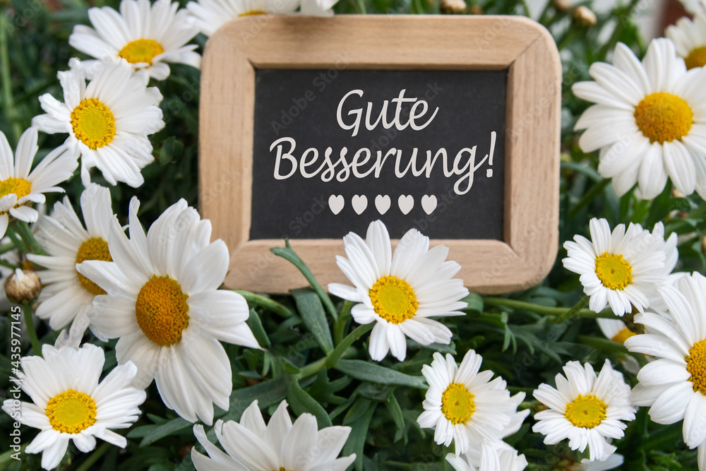 Gute Besserung Karte mit Blumen Stock Photo Adobe Stock