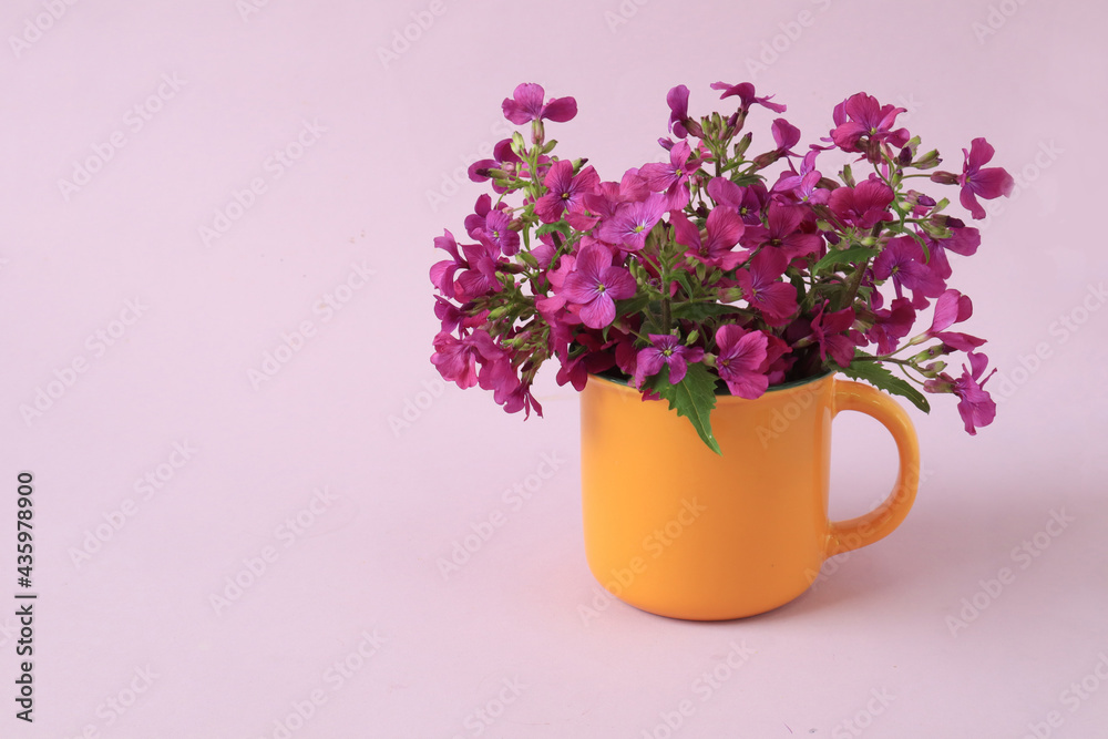 Bouquet of lilac flowers in a yellow cup on a pastel background, side view, space for text