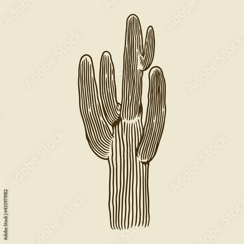 Cacti in vintage engraving ...