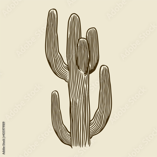 Vintage engraved hand drawn...