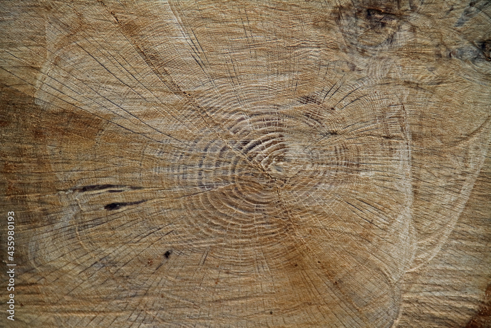 Naklejka premium Holzstruktur