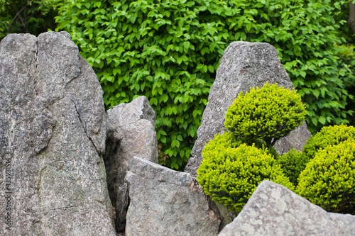 Composition with stones and plants, Japanese park, Wroclaw.