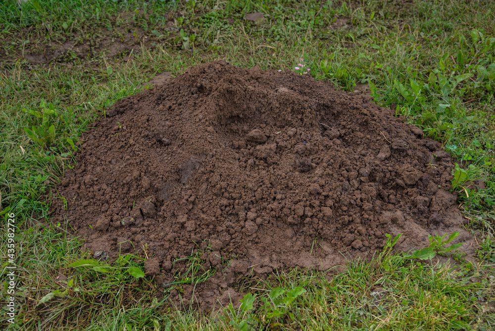 Stack of soil on the grass in the garden Stack of soil on the grass in the garden