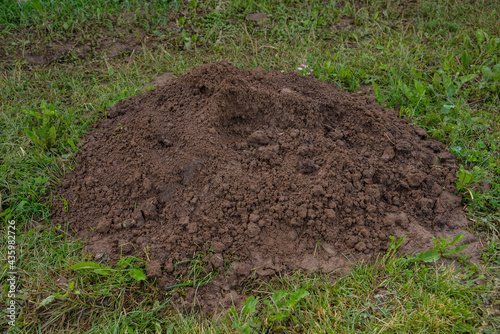 Stack of soil on the grass in the garden