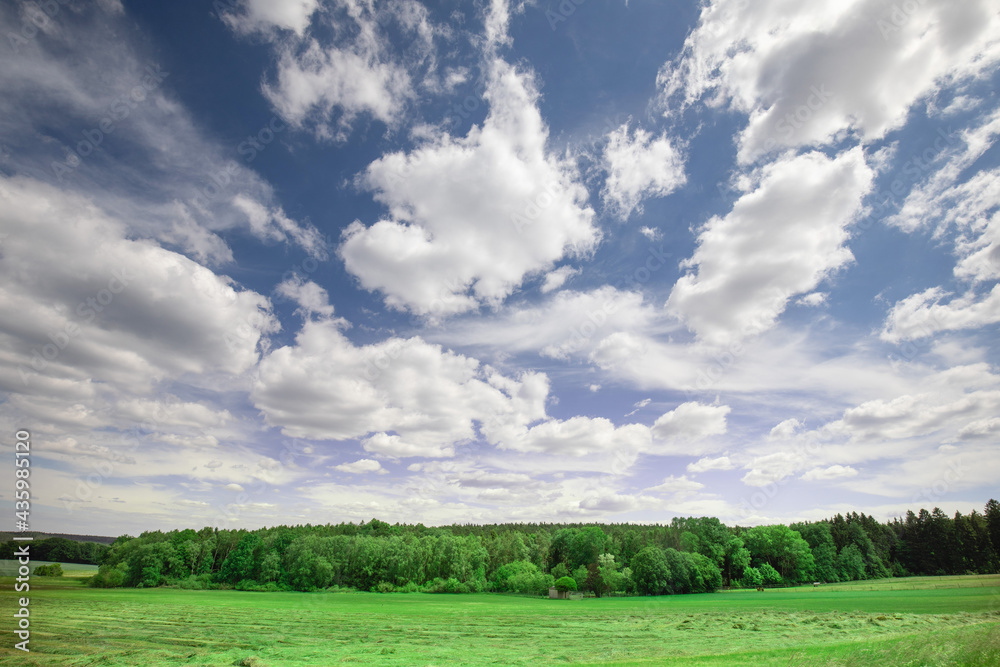 field and blue sky with impressive clouds field and blue sky with impressive clouds