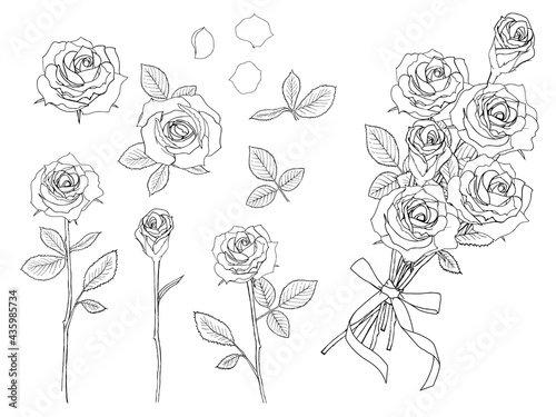 ばらの花の線画セット