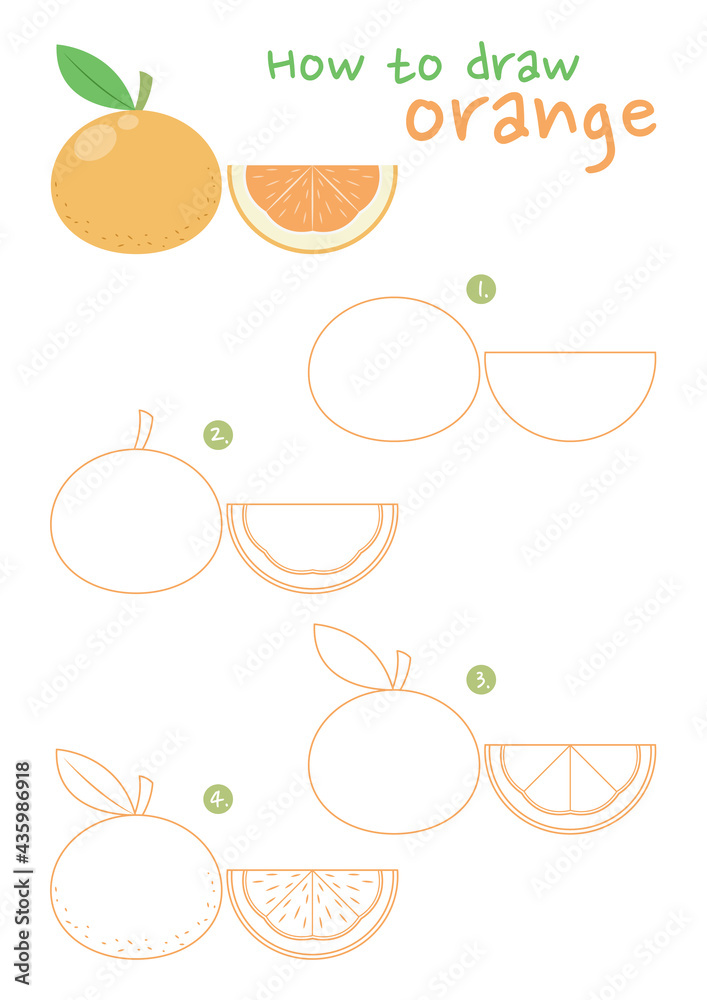 How to draw an orange slice easy | Fruits drawing | Fruits drawing, Drawings,  Drawing for beginners
