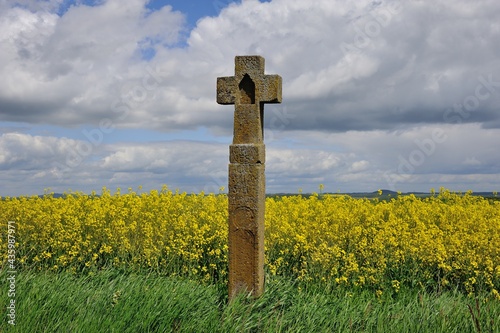 Wegekreuz im Rapsfeld