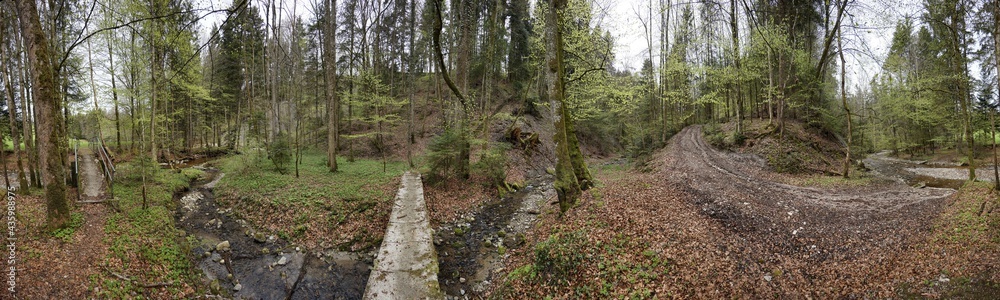 Waldspaziergang am Irschenberg