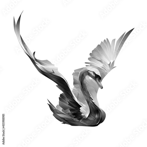 Fototapeta Naklejka Na Ścianę i Meble -  painted bird swan spreads its wings on a white background