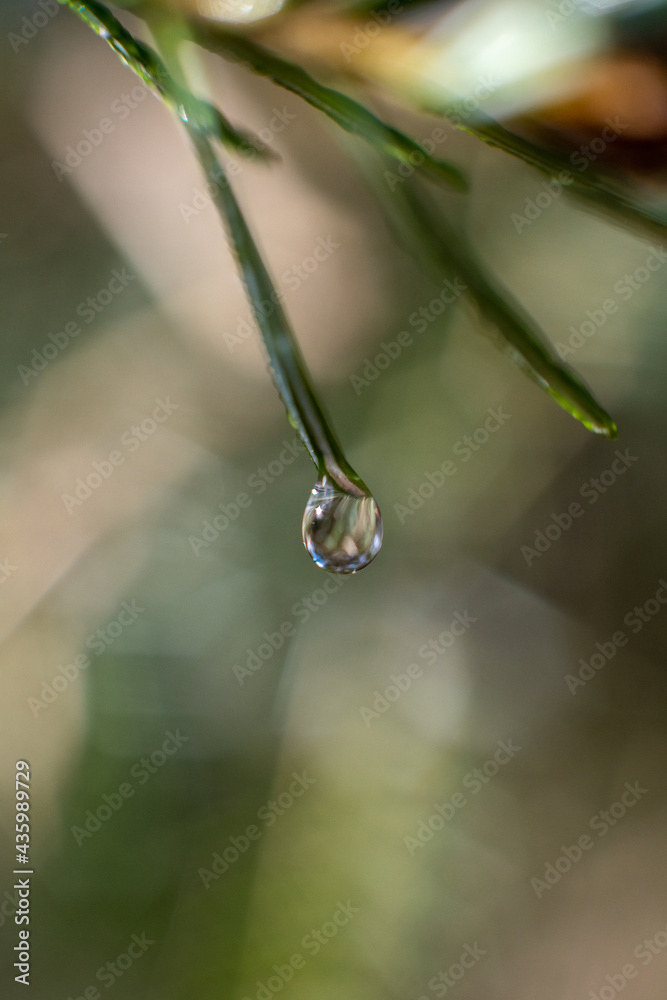water drops on a leaf water drops on a leaf
