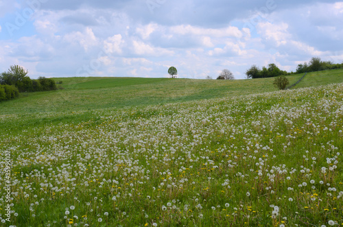 mittelgebirgslandschaft in nordhessen nähe kleinalmerode