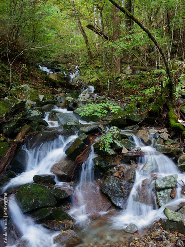 mountain stream of Mt. Mitosan