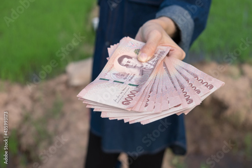 Thai money banknote thousand baht in woman farmer hand with a green rice farm background