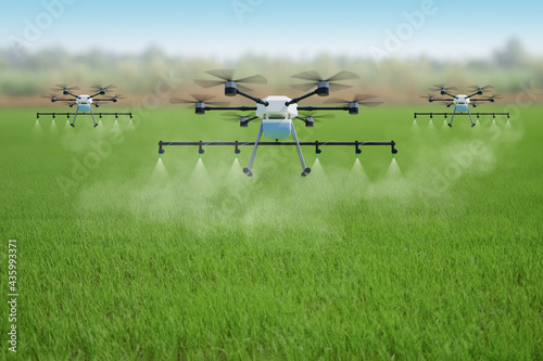 Three Agricultural drones flying and spraying on a green rice farm