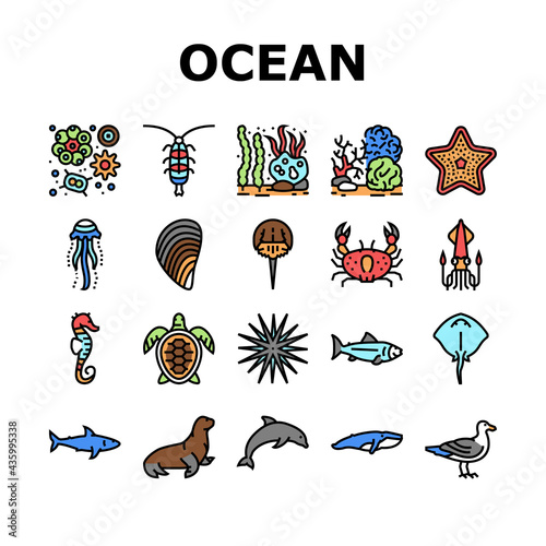 Ocean Underwater Life Collection Icons Set Vector. Ocean Fish And Star, Jellyfish And Turtle, Crab And Skate, Mussels And Phytoplankton Concept Linear Pictograms. Contour Color Illustrations