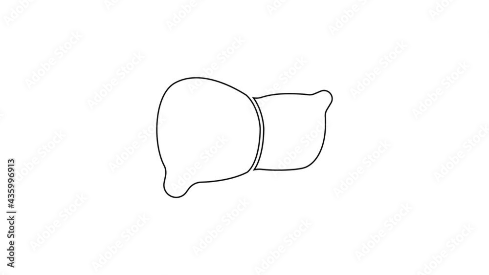 Black line Human organ liver icon isolated on white background. 4K Video motion graphic animation Black line Human organ liver icon isolated on white background. 4K Video motion graphic animation