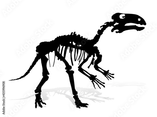 The Skeleton of ancient big dinosaur.