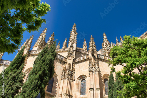 Detalle aguajas de estilo gótico tardío en la catedral de Segovia, España