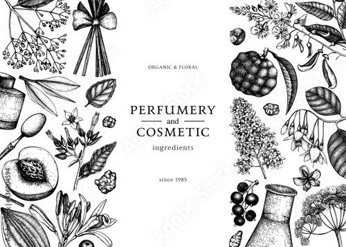 Vector background with fragrant fruits and flowers. Hand sketched perfumery and cosmetics ingredients illustration. Aromatic and medicinal plants banner design. 