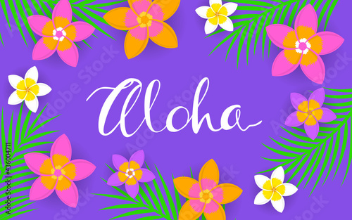 floral frangipani plumeria tropical flowers and coconut palm leaves frame banner flatlay background