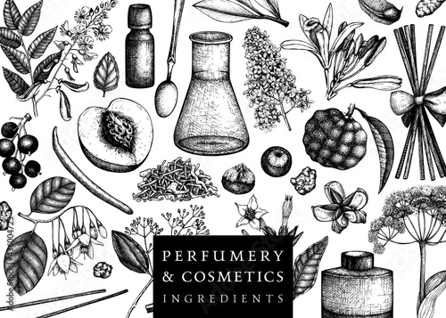 Vector background with fragrant fruits and flowers. Hand sketched perfumery and cosmetics ingredients illustration. Aromatic and medicinal plants banner design.  photo