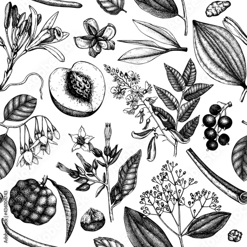Vector background with fragrant fruits and flowers. Hand sketched perfumery and cosmetics ingredients backdrop. Aromatic and medicinal plant design. Botanical seamless pattern for brands or packaging