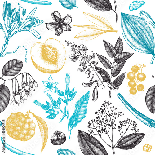Vector background with fragrant fruits and flowers. Hand sketched perfumery and cosmetics ingredients backdrop. Aromatic and medicinal plant design. Botanical seamless pattern for brands or packaging
