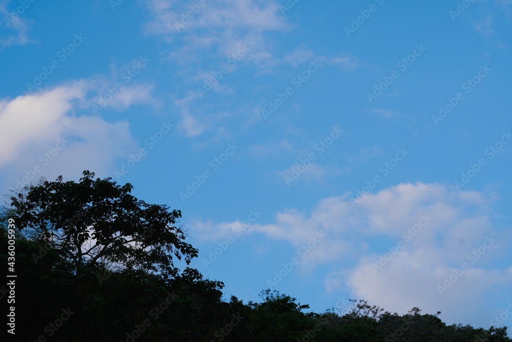 Obraz premium 夕暮れ時の青空