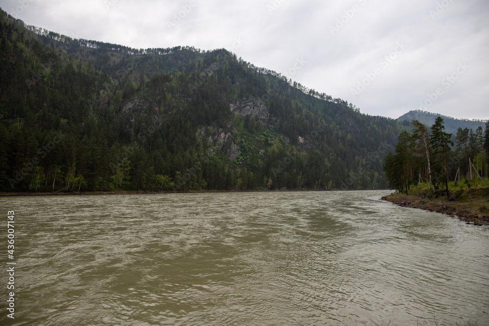 Mountain Altai